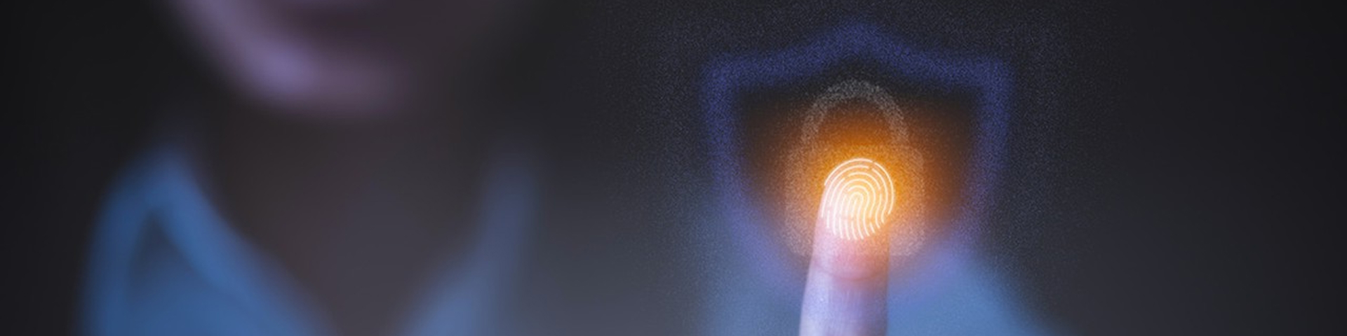 f1_banner01.jpg